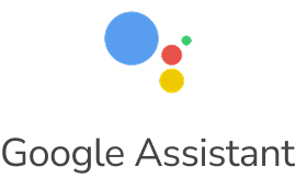 Google Assistant